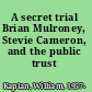A secret trial Brian Mulroney, Stevie Cameron, and the public trust /