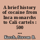 A brief history of cocaine from Inca monarchs to Cali cartels : 500 years of cocaine dealing /