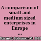 A comparison of small and medium sized enterprises in Europe and in the USA