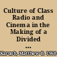 Culture of Class Radio and Cinema in the Making of a Divided Argentina, 1920ђ́أ1946 /