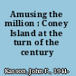 Amusing the million : Coney Island at the turn of the century /