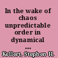 In the wake of chaos unpredictable order in dynamical systems /