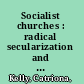 Socialist churches : radical secularization and the preservation of the past in Petrograd and Leningrad, 1918-1988 /