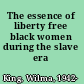 The essence of liberty free black women during the slave era /