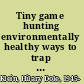 Tiny game hunting environmentally healthy ways to trap and kill the pests in your house and garden /