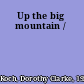 Up the big mountain /