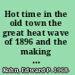 Hot time in the old town the great heat wave of 1896 and the making of Theodore Roosevelt /