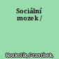 Sociální mozek /