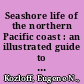 Seashore life of the northern Pacific coast : an illustrated guide to northern California, Oregon, Washington, and British Columbia /