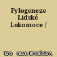 Fylogeneze Lidské Lokomoce /