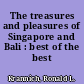 The treasures and pleasures of Singapore and Bali : best of the best /