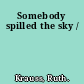 Somebody spilled the sky /