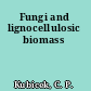 Fungi and lignocellulosic biomass