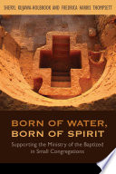 Born of water, born of Spirit : supporting the ministry of the baptized in small congregations /