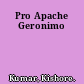 Pro Apache Geronimo