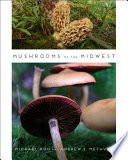 Mushrooms of the Midwest /