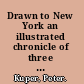 Drawn to New York an illustrated chronicle of three decades in New York City /