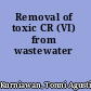 Removal of toxic CR (VI) from wastewater