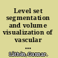 Level set segmentation and volume visualization of vascular trees /