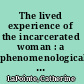The lived experience of the incarcerated woman : a phenomenological study /