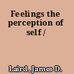 Feelings the perception of self /