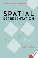 Spatial representation : from gene to mind /