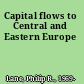 Capital flows to Central and Eastern Europe