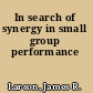 In search of synergy in small group performance