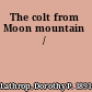 The colt from Moon mountain /