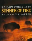 Summer of fire : Yellowstone 1988 /