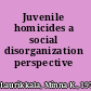 Juvenile homicides a social disorganization perspective /