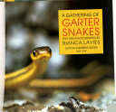 A gathering of garter snakes /