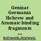 Genizat Germania Hebrew and Aramaic binding fragments from Germany in context /