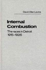 Internal combustion : the races in Detroit, 1915-1926 /
