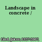 Landscape in concrete /