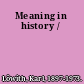 Meaning in history /