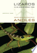 Lizards in an evolutionary tree : ecology and adaptive radiation of anoles /