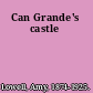 Can Grande's castle