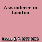 A wanderer in London