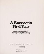A raccoon's first year /