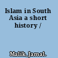 Islam in South Asia a short history /