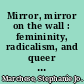 Mirror, mirror on the wall : femininity, radicalism, and queer pedagogy /