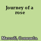 Journey of a rose