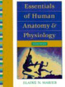 Essentials of human anatomy and physiology /