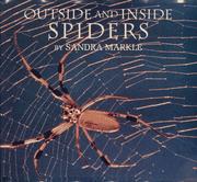 Outside and inside spiders /