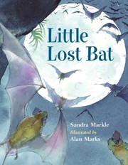 Little lost bat /