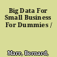 Big Data For Small Business For Dummies /