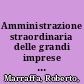 Amministrazione straordinaria delle grandi imprese in crisi e tutela dei creditori /