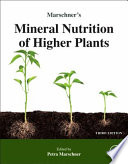 Marschner's mineral nutrition of higher plants