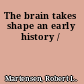 The brain takes shape an early history /
